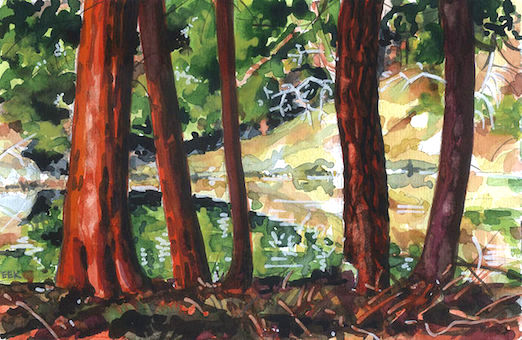 Jedediah Island Inlet Watercolour
